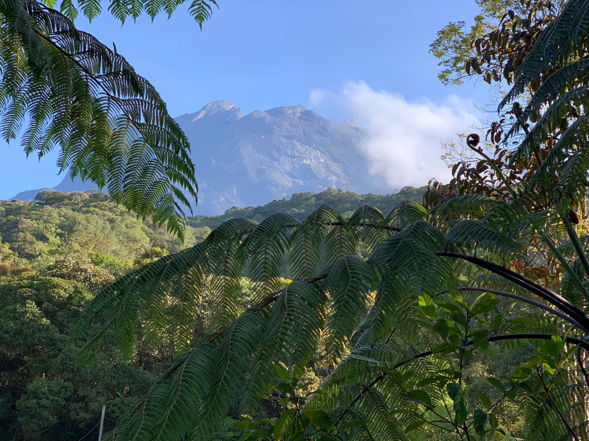 Mt Kinabalu